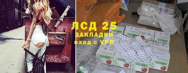 индика Алексин
