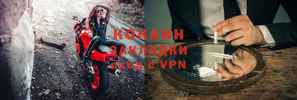 индика Алексин