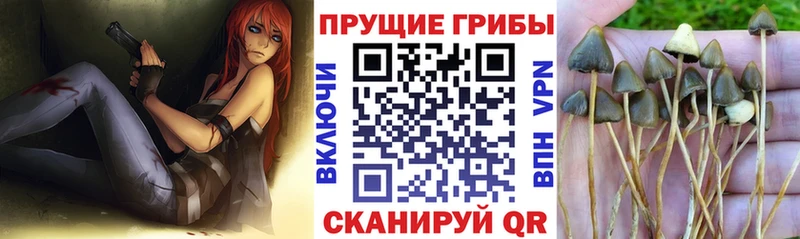 Псилоцибиновые грибы ЛСД  Нариманов 